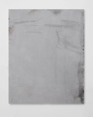 Artwork Title: Sterilized Dirt B13