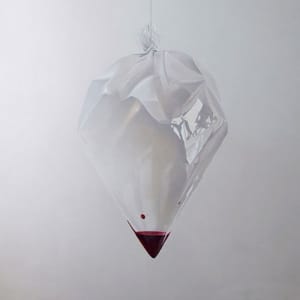 Artwork Title: Sem Título (Série Retratos Íntimos)