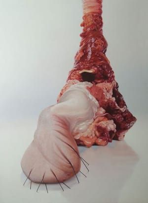 Artwork Title: Untitled