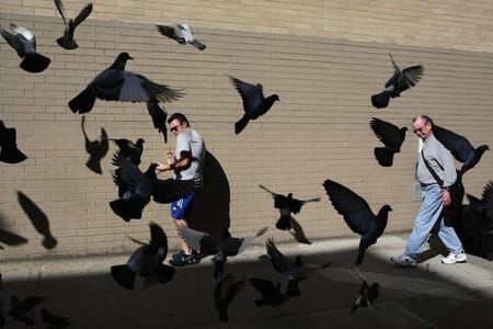 Artwork Title: Untitled, New York, May 24