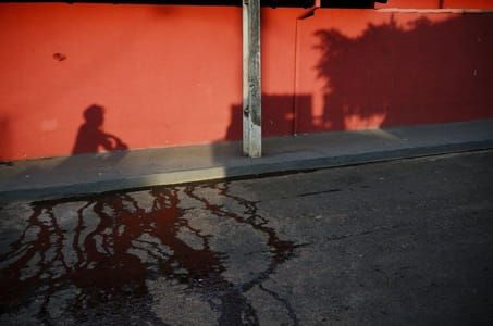 Artwork Title: Cassia, Brazil, February 22