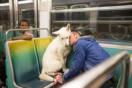 Artwork Title: Metro Ligne 6, Paris