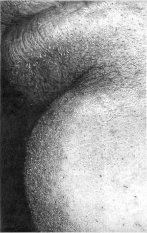 Artwork Title: Crop5cEMLipsChin