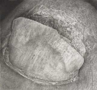 Artwork Title: 611Croppaul1Nails628