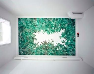 Artwork Title: Landscape