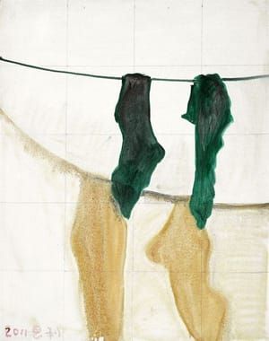 Artwork Title: A Pair of Socks