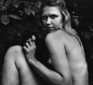 Artwork Title: Untitled