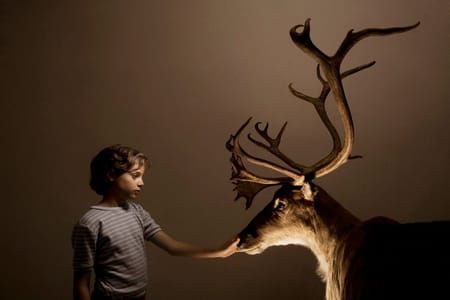 Artwork Title: Reindeer