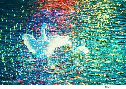 Artwork Title: Untitled