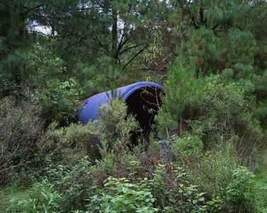 Artwork Title: Blue (Forest Interventions)