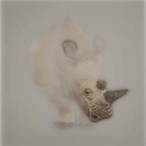 Artwork Title: Untitled