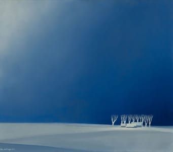 Artwork Title: Eenzaam Erf (Lonely Farm/Solitary Farm)