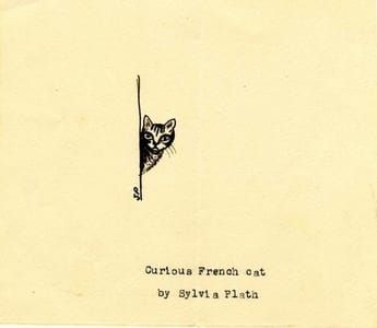 Artwork Title: Curious French Cat