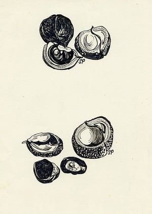 Artwork Title: Untitled