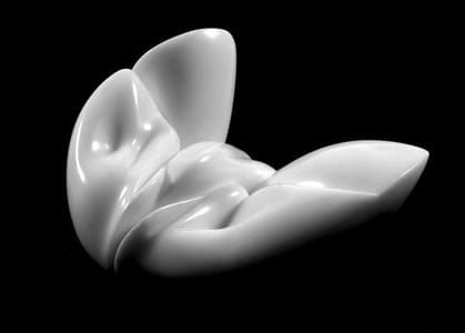 Artwork Title: Poduszki erotyczne / Erotic Pillows