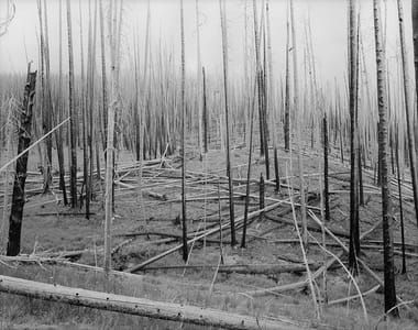Artwork Title: Gates of Wrath (Summer of Fire), Wyoming