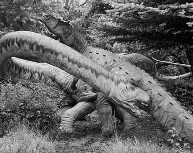 Artwork Title: The Sixth Extinction, (For Elizabeth Kolbert), Utah