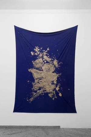 Artwork Title: Spandex