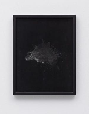 Artwork Title: Spill floradix