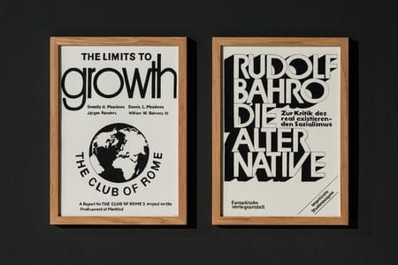 Artwork Title: Limits to Growth / Die Alternative