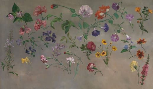 Artwork Title: Studies of Flowers