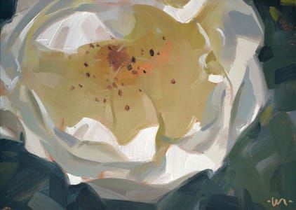 Artwork Title: Delicate White