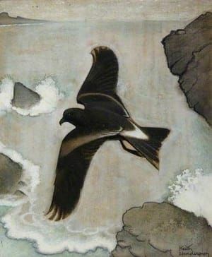Artwork Title: Wilson's Petrel