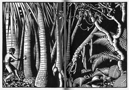 Artwork Title: Illustration for Green Mansions