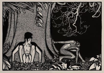Artwork Title: Illustration for Green Mansions