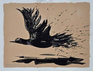 Artwork Title: Speed