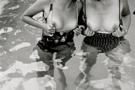 Artwork Title: Nipples
