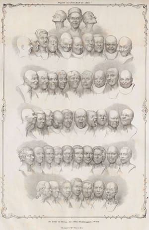 Artwork Title: Expressions