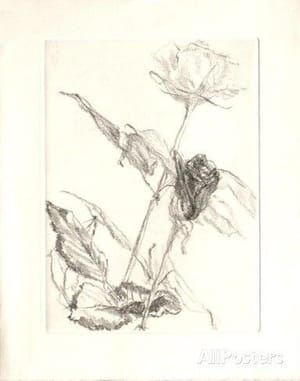 Artwork Title: Untitled