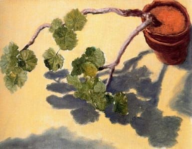 Artwork Title: Plant and Shadow