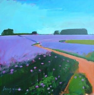 Artwork Title: Flowering potatoes - rain coming, Moulton Seas End, Lincolnshire