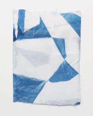Artwork Title: Untitled (a map for landing)