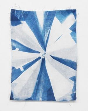 Artwork Title: Untitled (a map for landing)