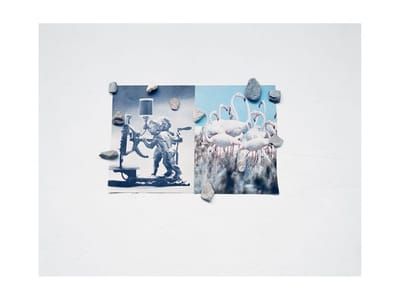 Artwork Title: Flamingos