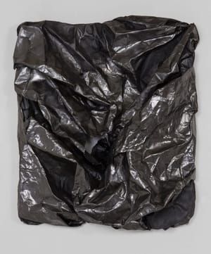 Artwork Title: Shield Wrap 9