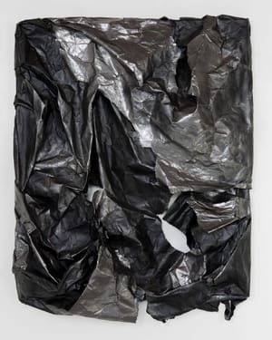 Artwork Title: Shield Wrap 10