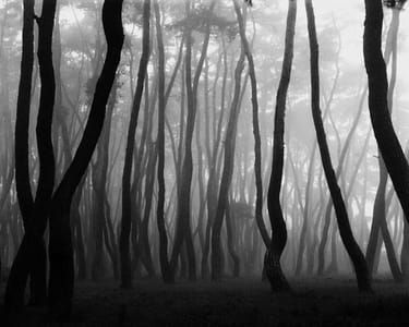 Artwork Title: Untitled
