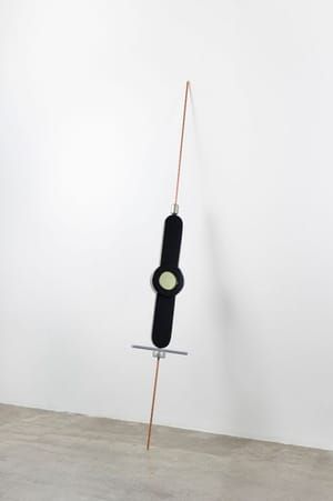 Artwork Title: Sbm11