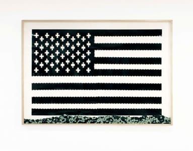 Artwork Title: Black On White Flag