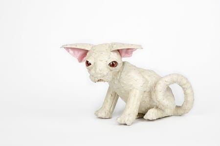 Artwork Title: Hairless Kitten