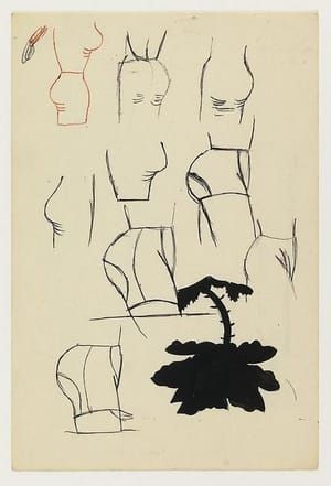 Artwork Title: Untitled (Hips and a Flower)