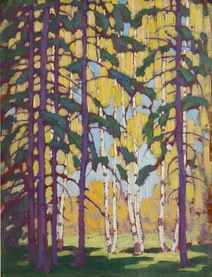 Artwork Title: Algonquin Birches