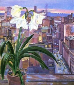Artwork Title: Window,  New York