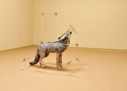 Artwork Title: Untitled