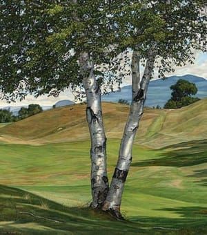 Artwork Title: The Solitary Birch