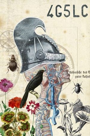 Artwork Title: Deliri anatomici